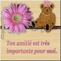 TON AMITIE é TRES TRES IMPORTANTE PR MWA